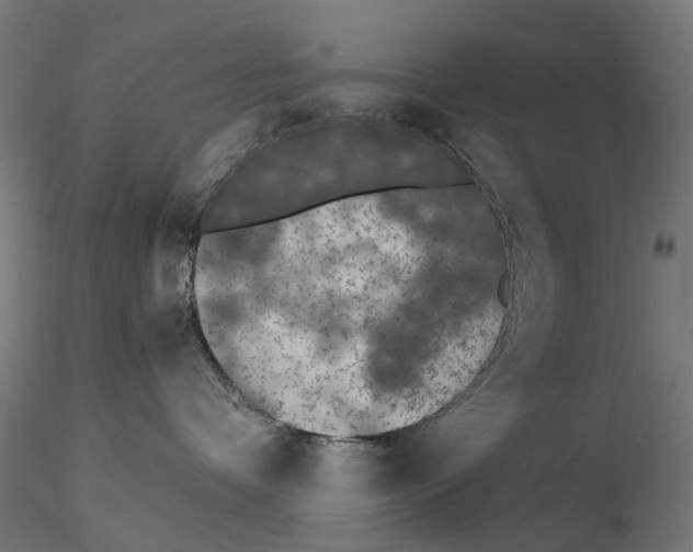 X0000116510336201001061228