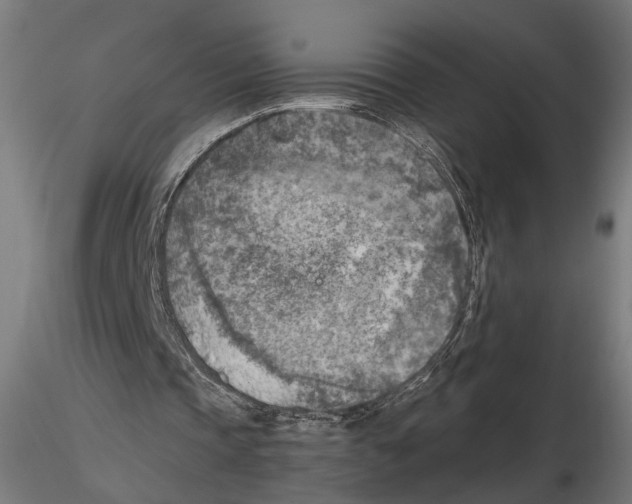 X0000116510337201001061227