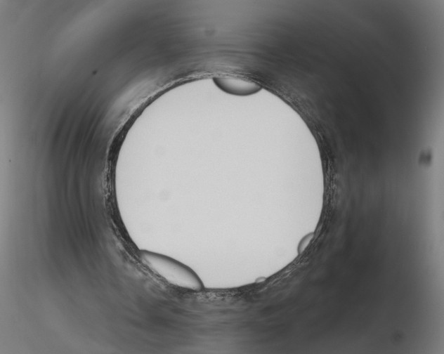 X0000116510338201001061227