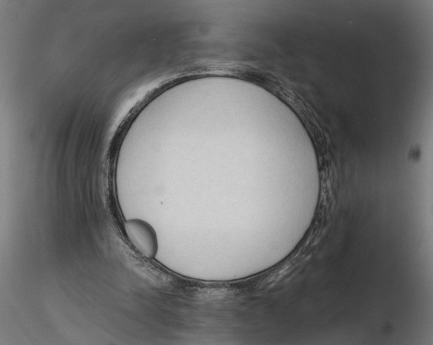 X0000116510342201001061227