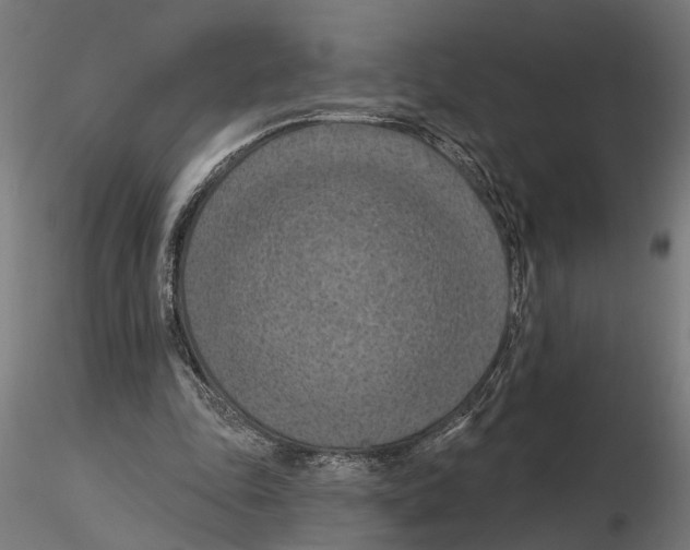 X0000116510343201001061227