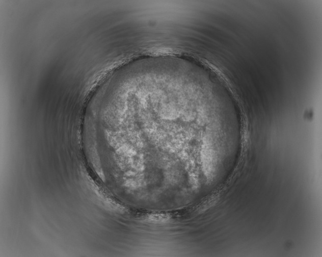 X0000116510353201001061228