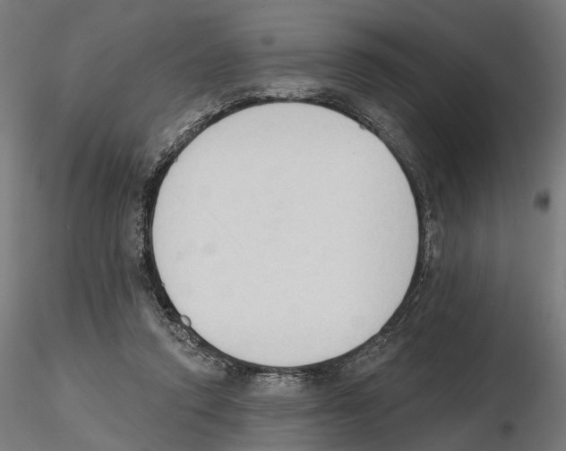 X0000116510354201001061228