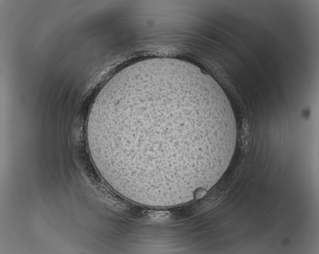 X0000116510355201001061228