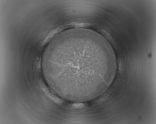 X0000116510357201001061228