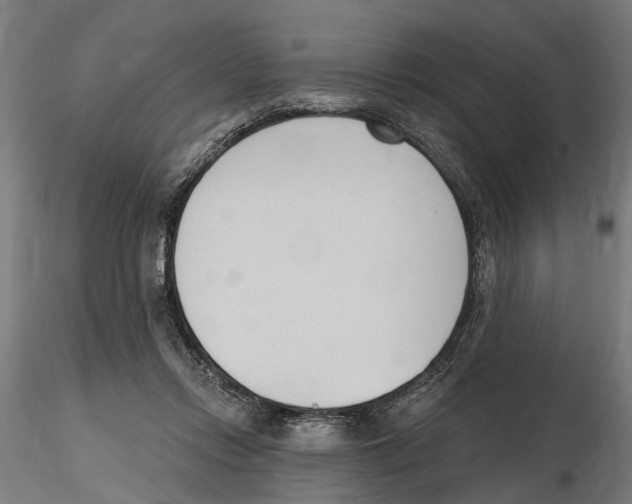 X0000116510358201001061228