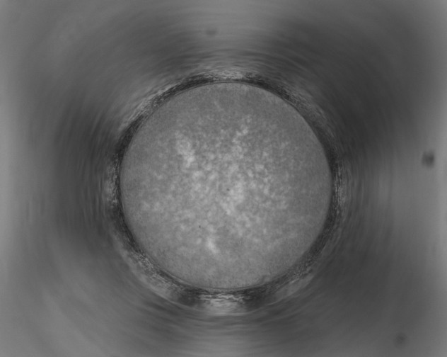 X0000116510359201001061228