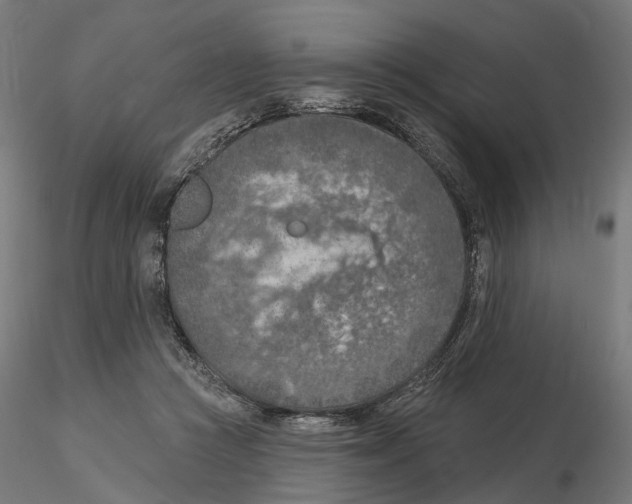 X0000116510361201001061228