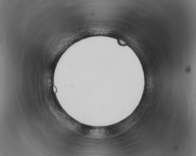 X0000116510362201001061228