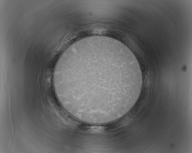 X0000116510363201001061228