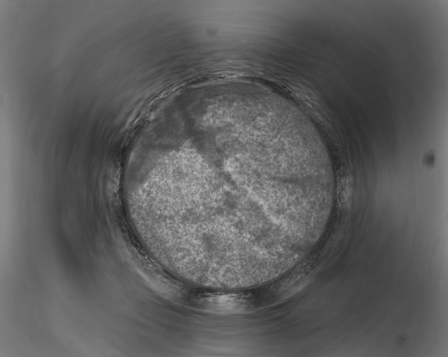 X0000116510365201001061228