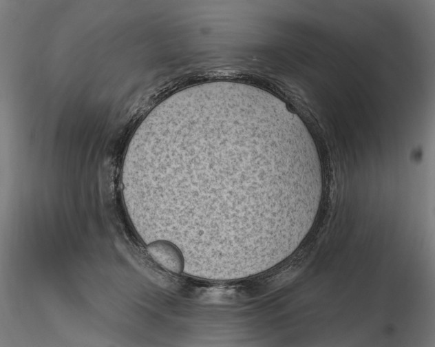 X0000116510366201001061228