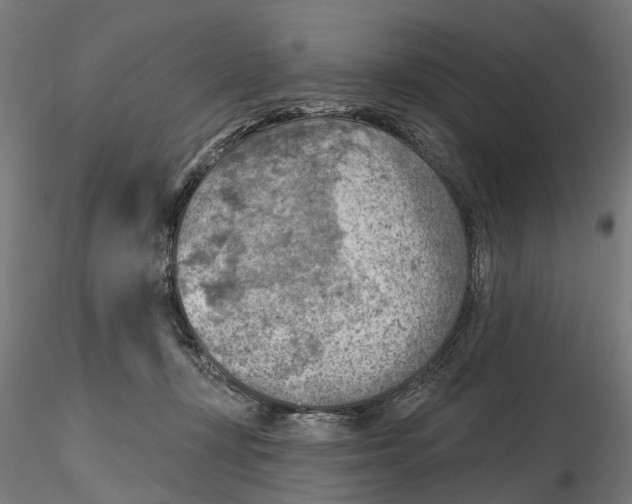 X0000116510367201001061228