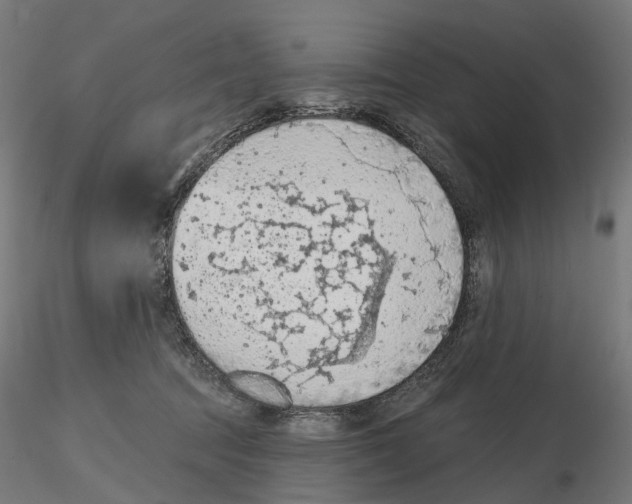 X0000116510369201001061228
