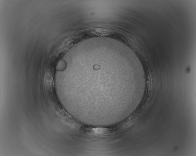 X0000116510371201001061228