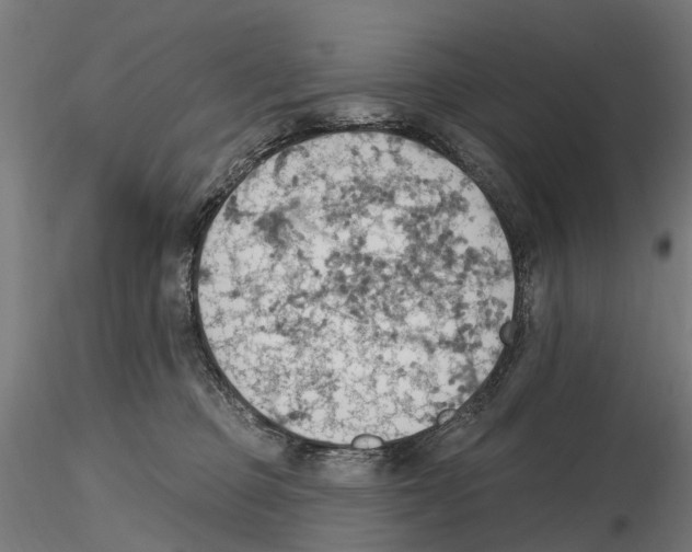 X0000116510373201001061228