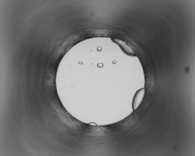 X0000116510379201001061228
