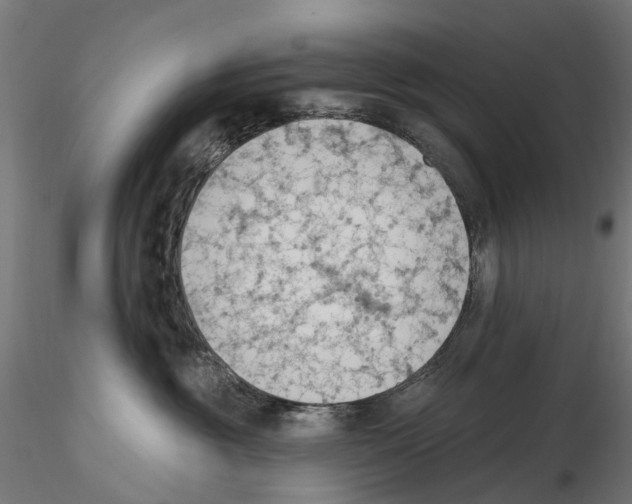 X0000116510381201001061228