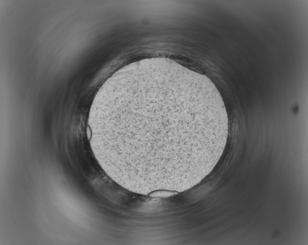 X0000116510382201001061228
