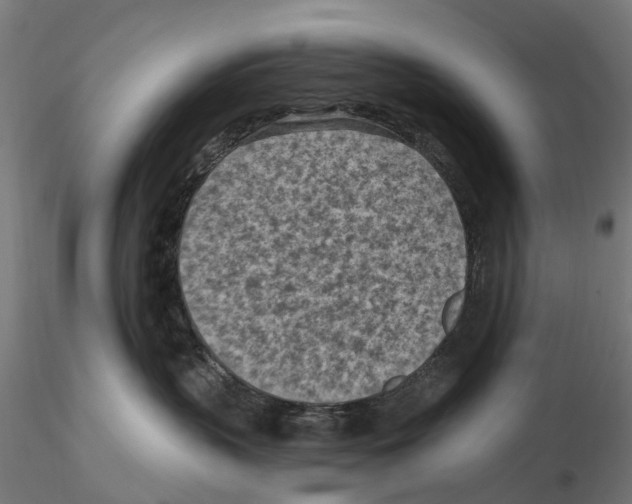 X0000116510383201001061228