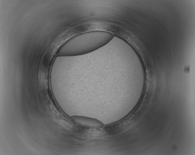 X0000116510386201001061227