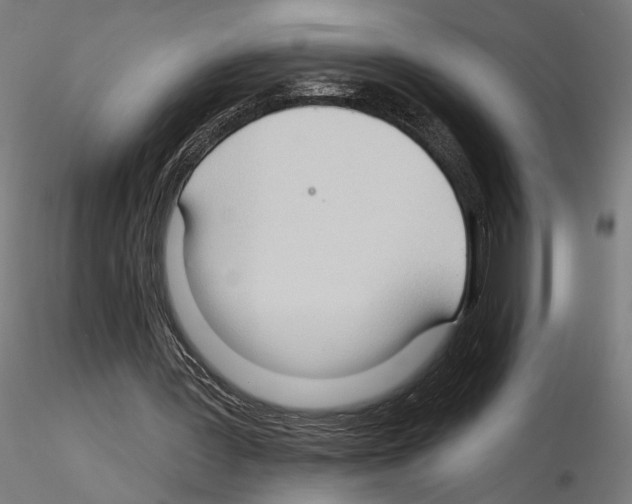 X0000116510387201001061227