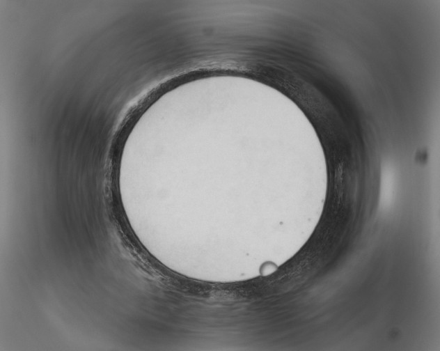 X0000116510388201001061227