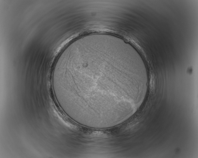 X0000116510390201001061227