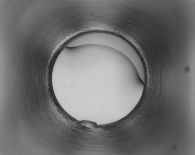 X0000116510391201001061227