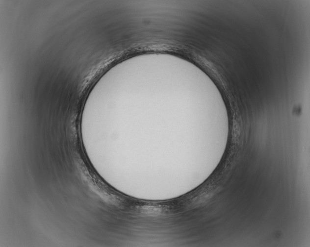X0000116510394201001061227