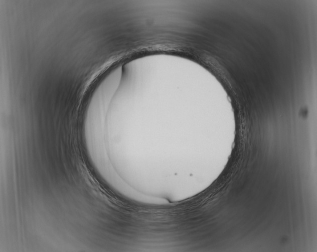 X0000116510395201001061227