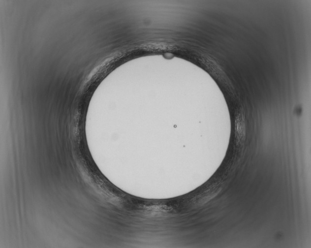X0000116510396201001061227