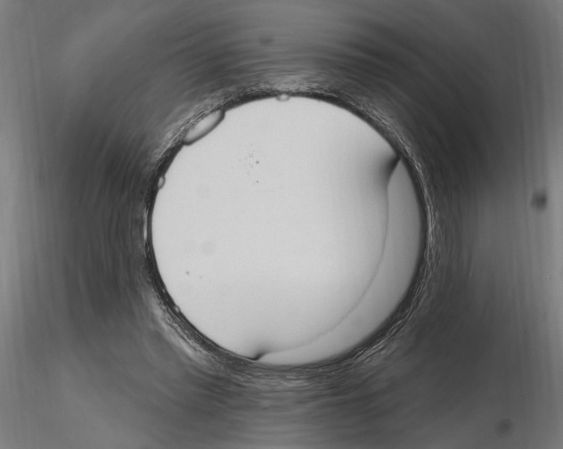 X0000116510397201001061227