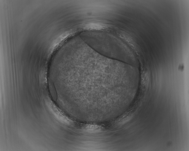 X0000116510399201001061227
