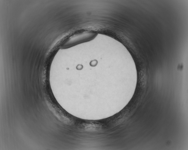 X0000116510400201001061227