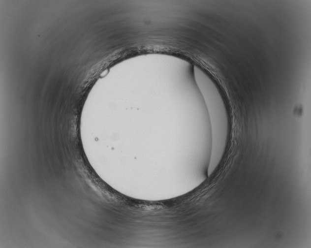 X0000116510401201001061227