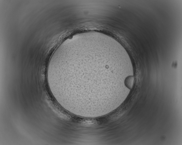 X0000116510402201001061227