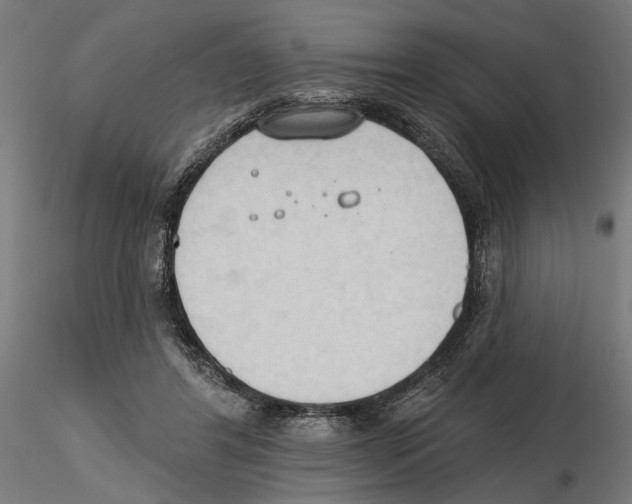X0000116510404201001061227