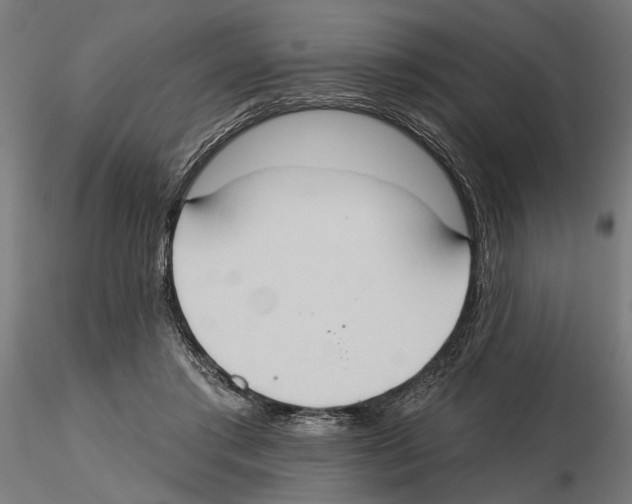 X0000116510405201001061227