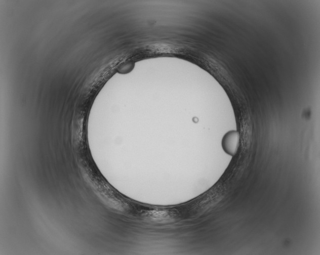 X0000116510406201001061227