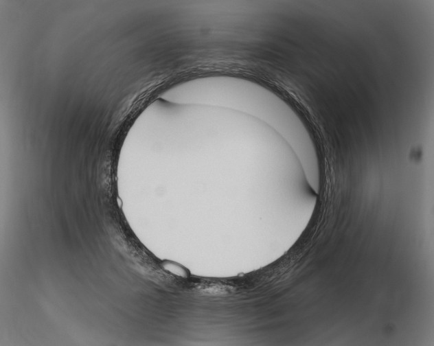 X0000116510407201001061227