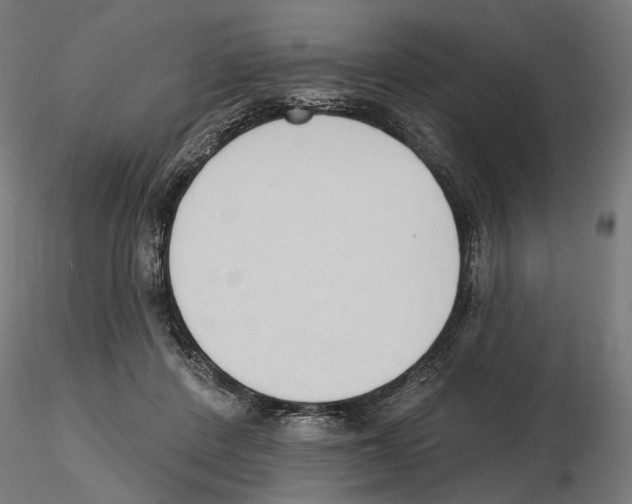 X0000116510408201001061227