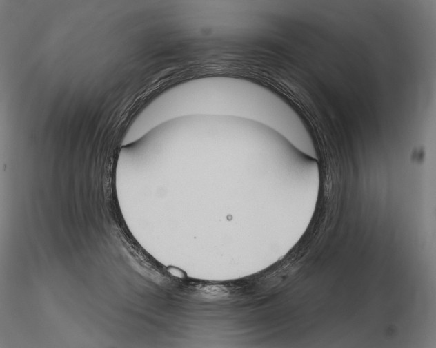 X0000116510409201001061227