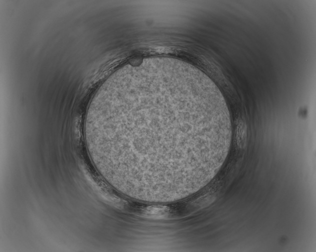 X0000116510410201001061227