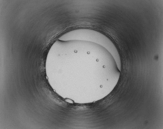 X0000116510411201001061227