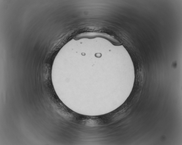 X0000116510412201001061227
