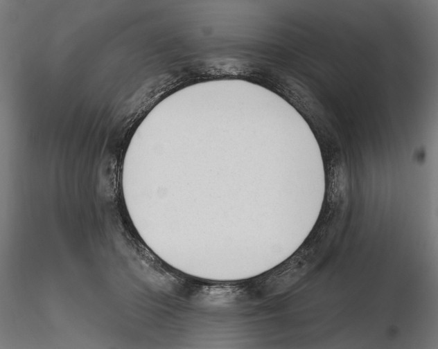 X0000116510414201001061227