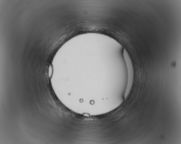 X0000116510415201001061227