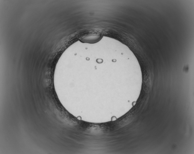 X0000116510416201001061227