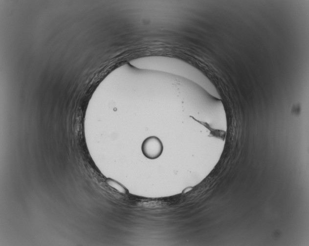 X0000116510417201001061227